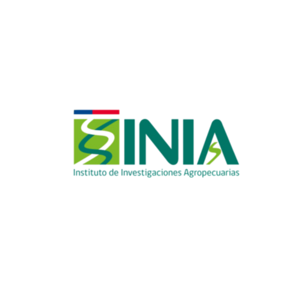Institución 3